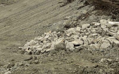 Land Clearing for Real Estate: Boosting Property Value Before a Sale