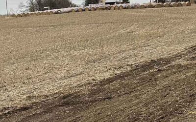 Eco-Friendly Land Clearing Methods That Protect Your Property