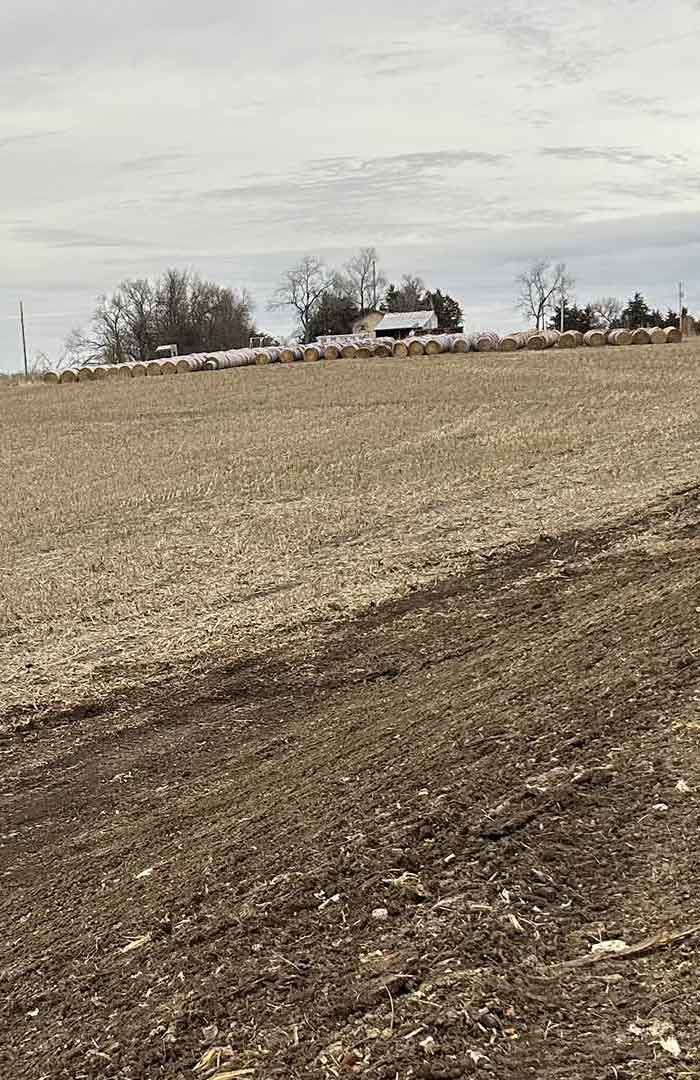pb-land-management-kansas-excavation-tree-clearing-snow-removal-dam-digging-rock-hauling-land-clearing-demolition-retaining-walls-image-700×1080-057-1.jpg Cleared fence line allowing for new barbed wire installation.